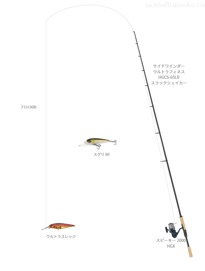 バス釣りに関するタックル、仕掛け図解