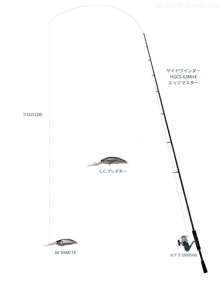 バス釣りに関するタックル、仕掛け図解