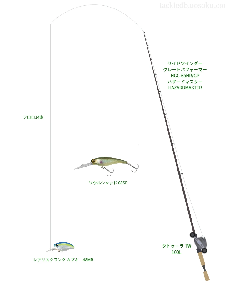 バス釣りに関するタックル、仕掛け図解