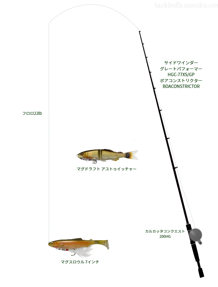 バス釣りに関するタックル、仕掛け図解