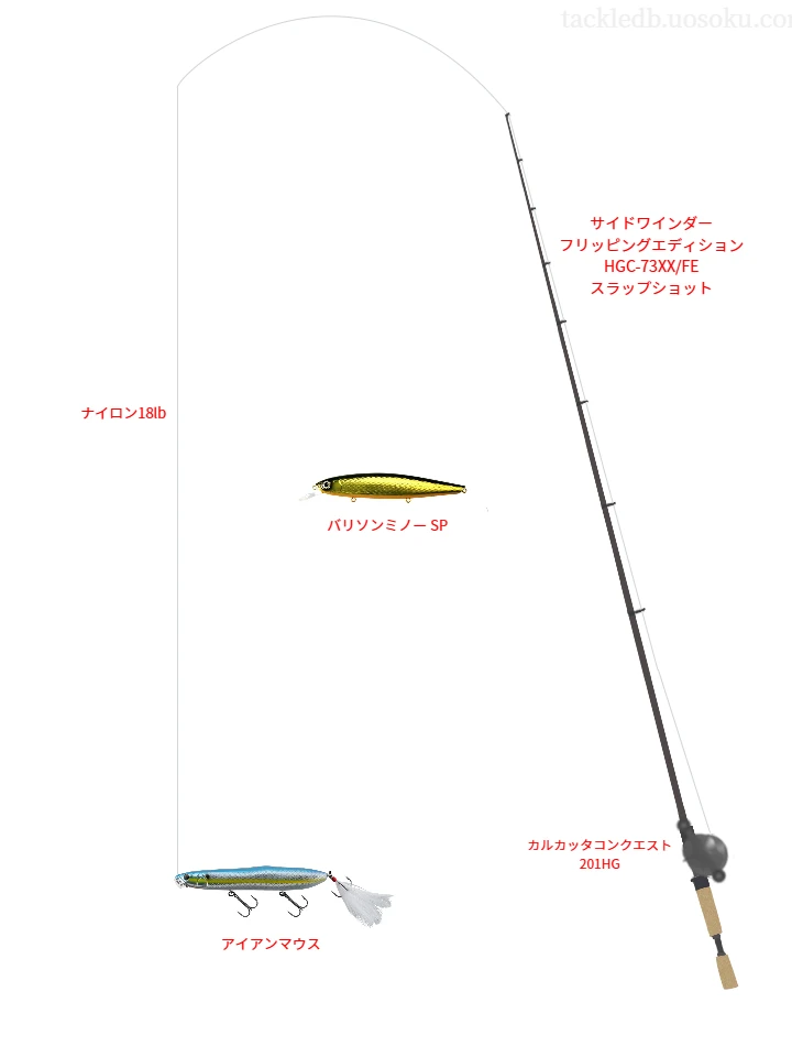 バス釣りに関するタックル、仕掛け図解