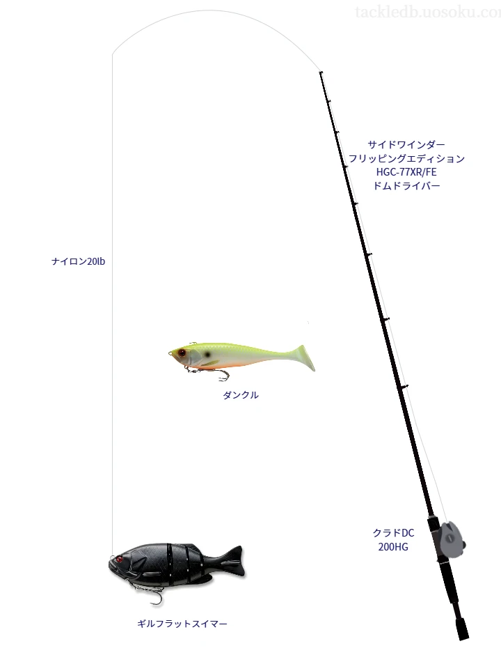 バス釣りに関するタックル、仕掛け図解