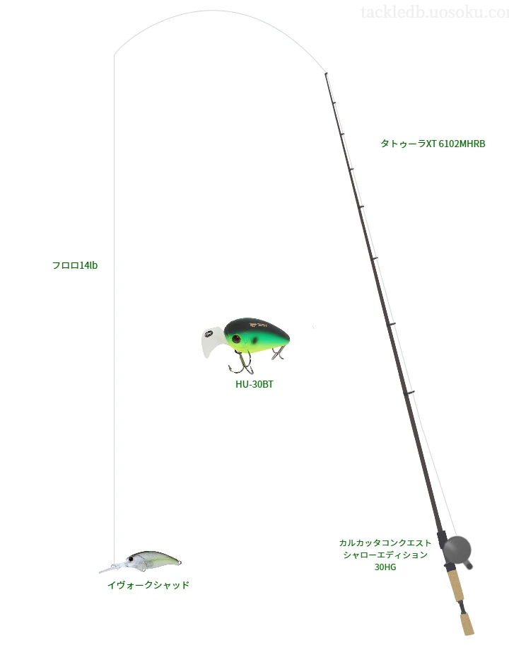 ダイワのタトゥーラXT 6102MHRBとカルカッタコンクエスト シャローエディション 30HGによるバス釣りタックル【仮想インプレ】