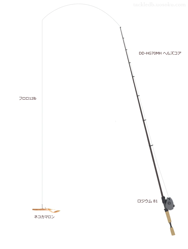 DD-HG70MH ヘルズコアでネコカマロンを使うバス釣りタックル【仮想インプレ】