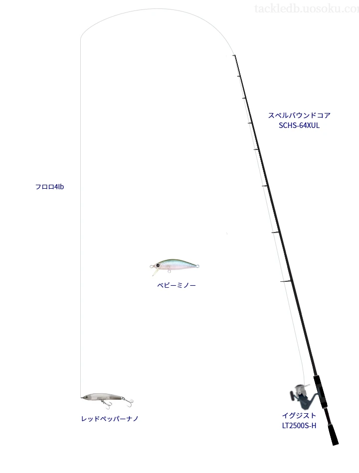 スペルバウンドコア SCHS-64XULとイグジスト LT2500S-Hを組み合わせたバスタックル【仮想インプレ】