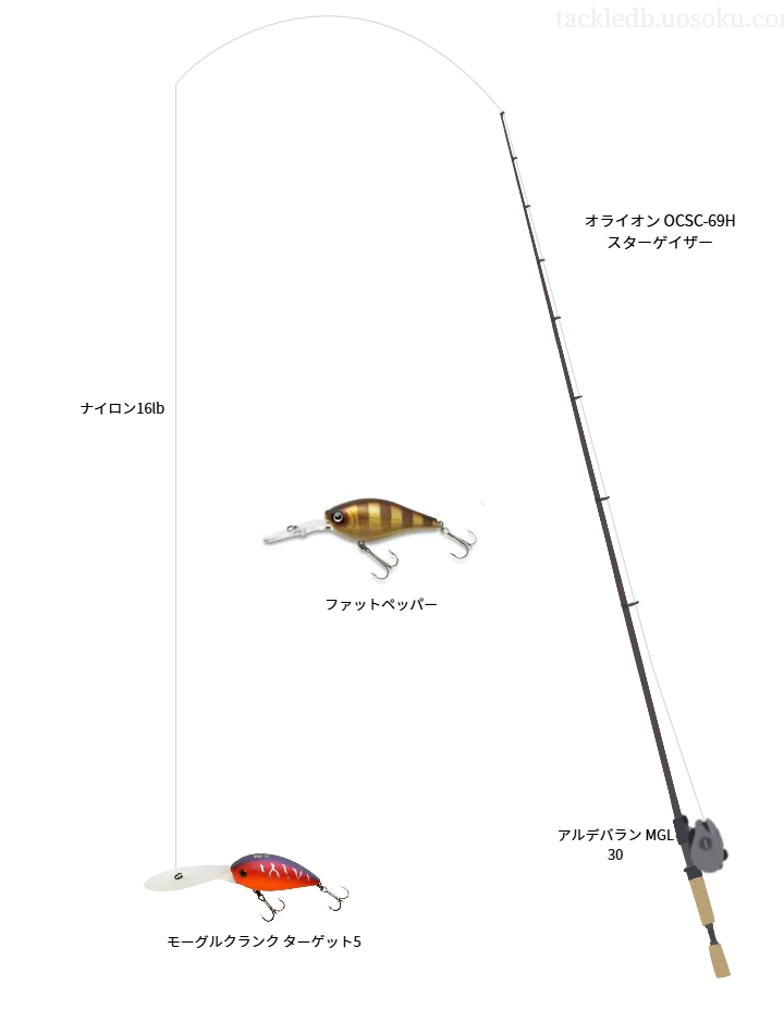 モーグルクランク ターゲット5のためのベイトタックル。エバーグリーンのロッドとシマノのリール