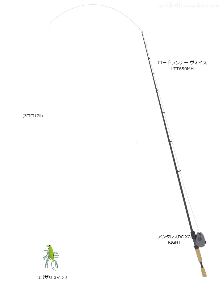 ほぼザリ 3インチノーシンカーリグを使いこなすタックル【仮想インプレ】