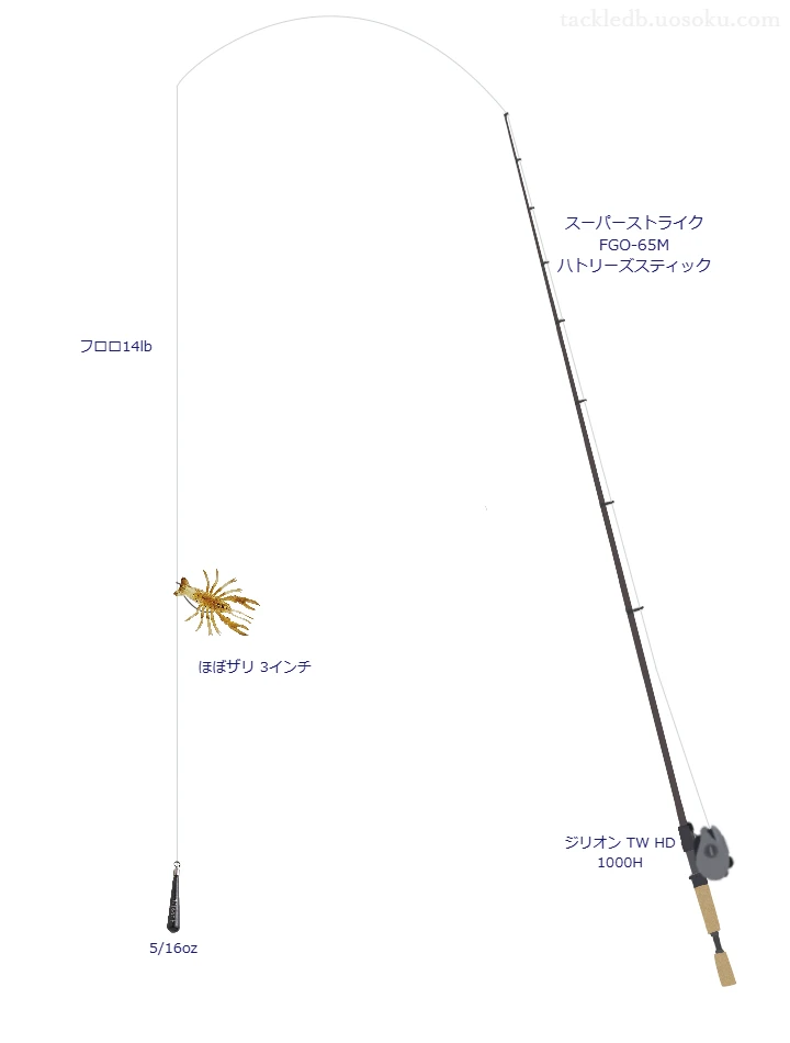 ロッドはスミス,リールはダイワでほぼザリ 3インチダウンショットリグを使うバスタックル。【神上沼】