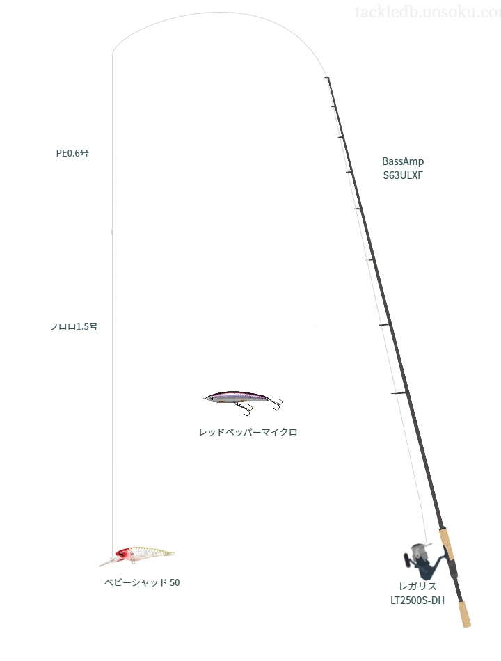 アバニ SLJ マックスパワーPE X8 0.6号とセフィア マスターフロロリーダー 1.5号を使用したスピニングタックル【BassAmp S63ULXF】