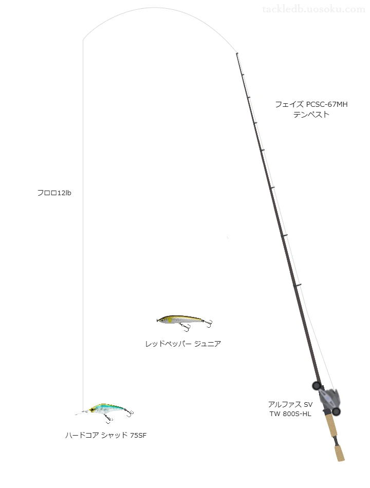 エバーグリーンのフェイズ PCSC-67MH テンペストとアルファス SV TW 800S-HLによるバス釣りタックル【仮想インプレ】