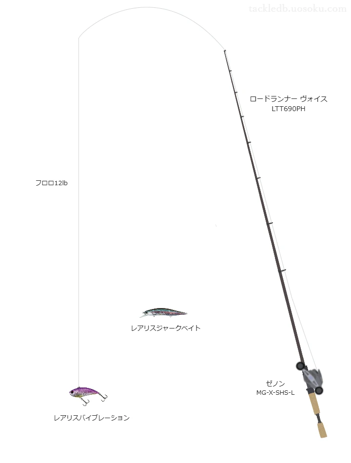 レアリスバイブレーションのためのバス釣りタックル【バイブレーション】