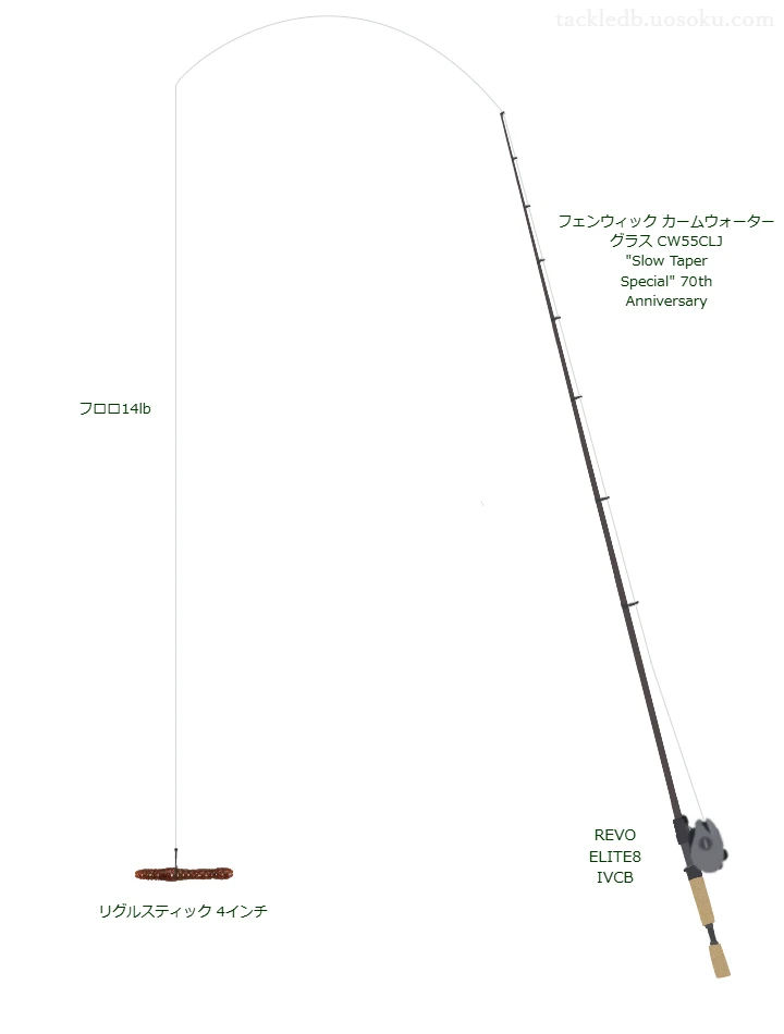  カームウォーター グラス CW55CLJ とリグルスティックによるバス釣りタックル【Vインプレ】