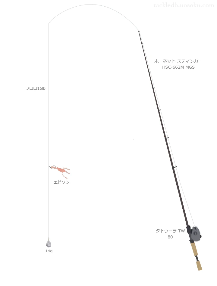 ホーネット スティンガー HSC-662M MGS,タトゥーラ TW 80,ワームを使うバス釣りタックル【仮想インプレ】