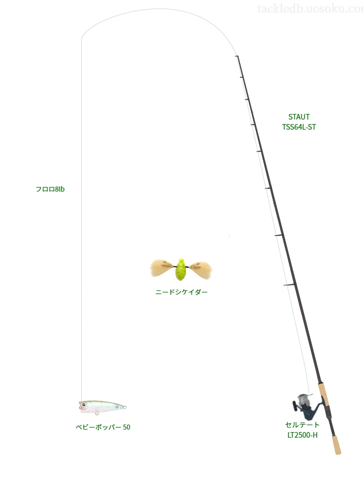 STAUT TSS64L-ST,セルテート LT2500-H,ポッパーを使うバス釣りタックル【仮想インプレ】