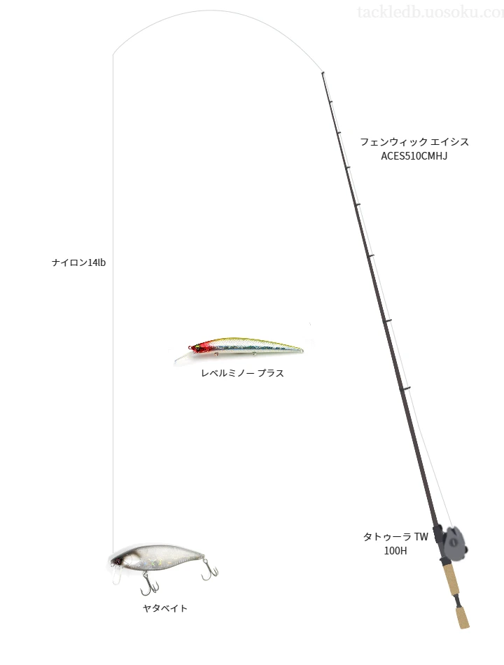  エイシス ACES510CMHJとタトゥーラ TW 100Hを組み合わせたバスタックル【仮想インプレ】