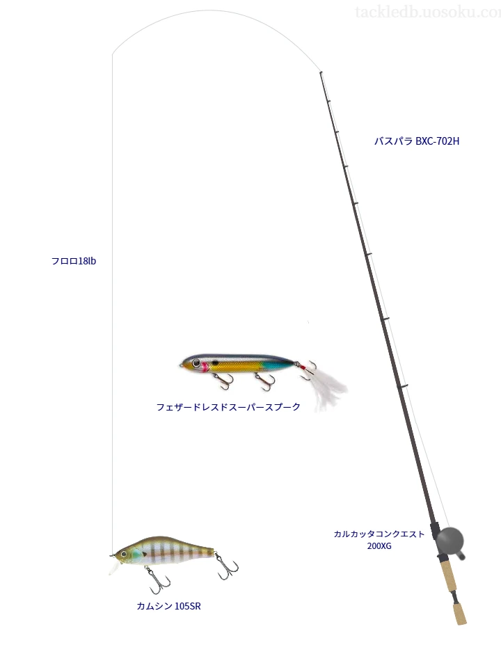 【リザーバー】カムシン 105SRを活かすバス釣りタックル【仮想インプレ】