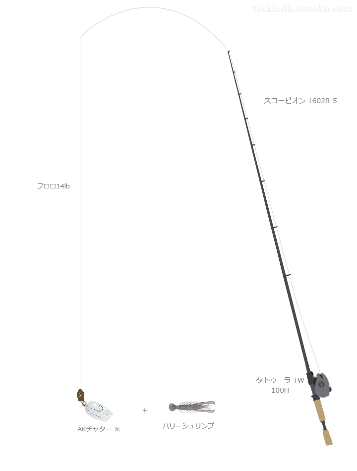 AKチャター Jr.のためのベイトタックル。シマノのロッドとダイワのリール