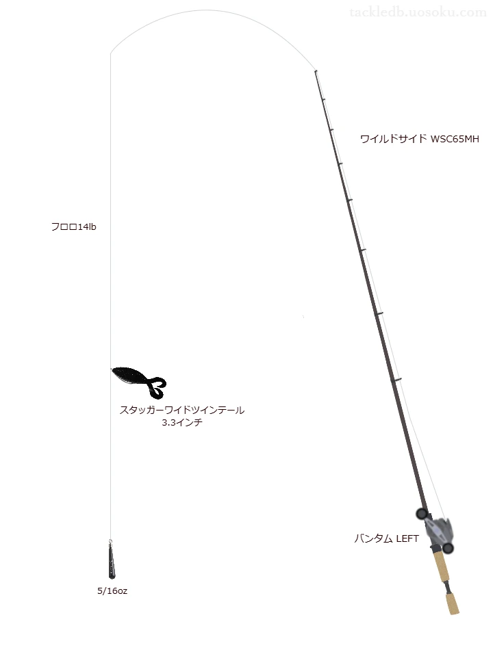 ワイルドサイド WSC65MHとワームによるバス釣りタックル【Vインプレ】