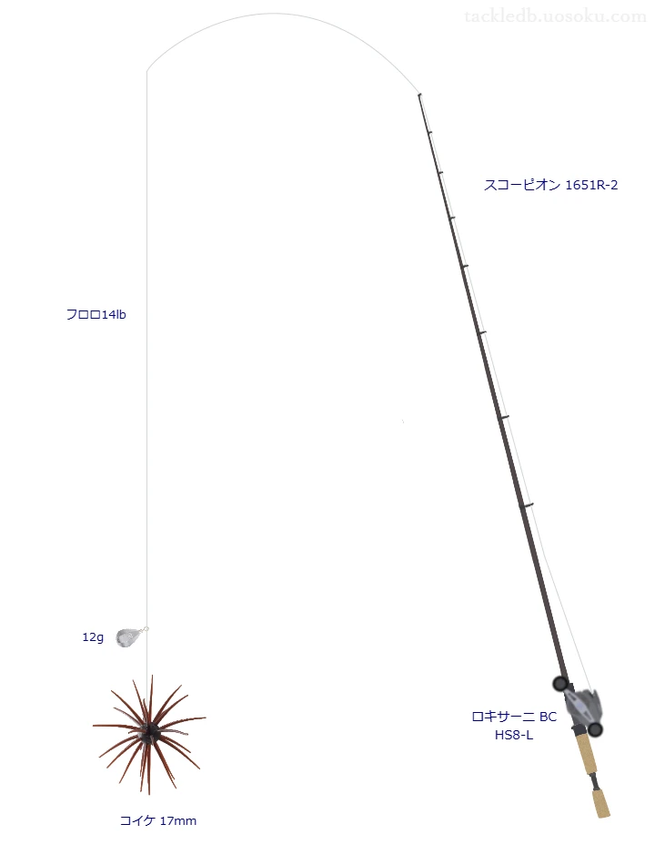 コイケ 17mmフリーリグのためのベイトタックル。シマノのロッドとアブガルシアのリール