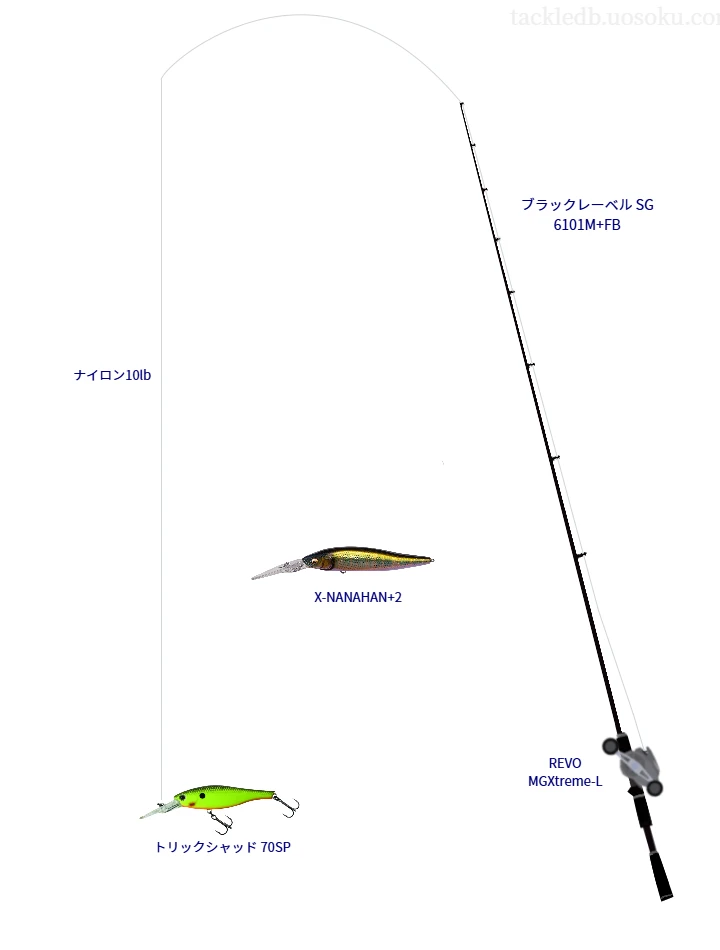 ブラックレーベル SG 6101M+FBとシャッドによるバス釣りタックル【Vインプレ】