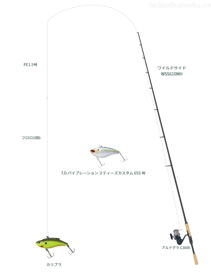 【Vインプレ】カリブラ用バス釣りタックル【ワイルドサイド WSS610MH】