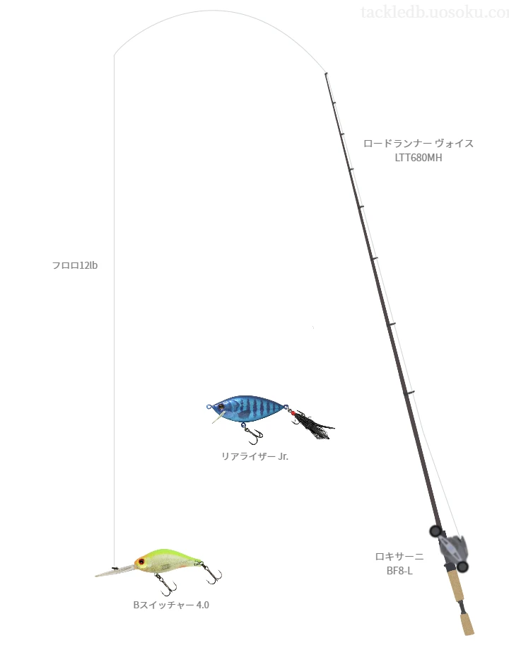 ロードランナー ヴォイス LTT680MHとロキサーニ BF8-Lを組み合わせたバスタックル【仮想インプレ】