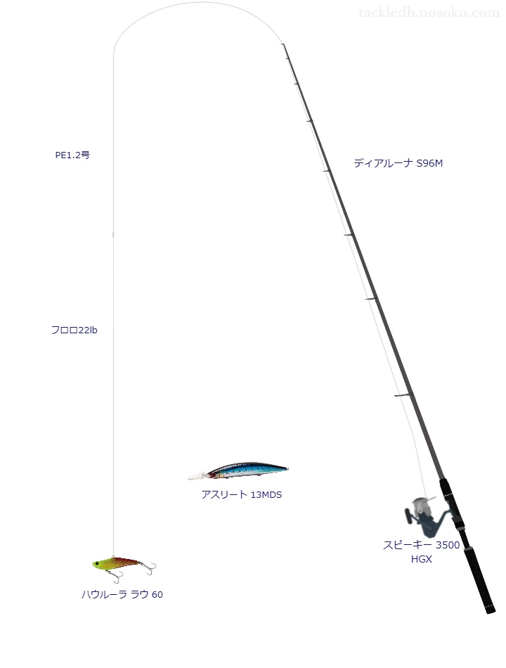 中級者向けシーバスタックル。ディアルーナ S96Mとテイルウォークのリール