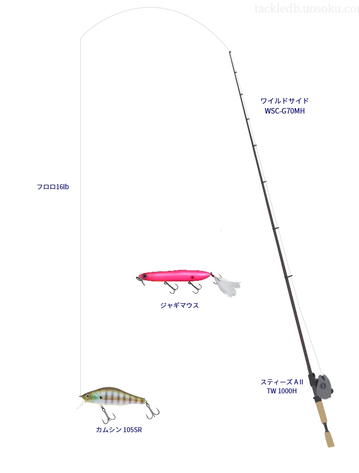 ワイルドサイド WSC-G70MH,スティーズ A II TW 1000H,ミノーを使うバス釣りタックル【仮想インプレ】