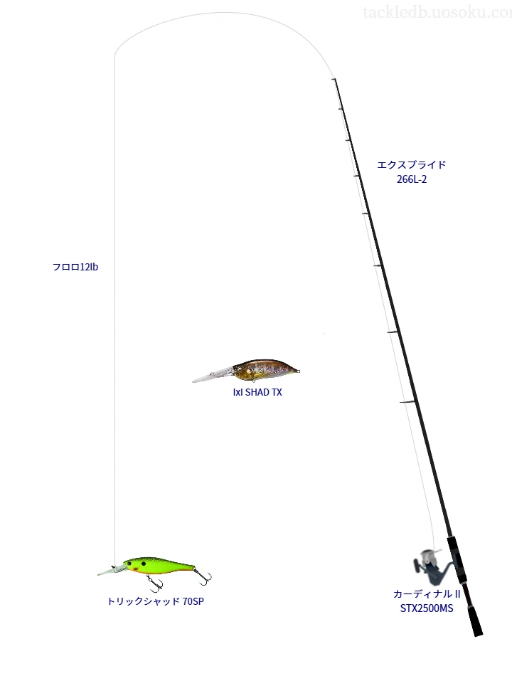 エクスプライド 266L-2とカーディナル II STX2500MSの調和によるバス釣りタックル【仮想インプレ】
