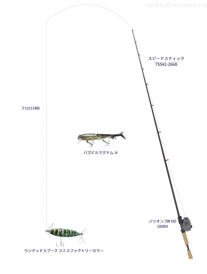 モンスター ブレイブ Z 14lbをスピードスティック TSS#2-266Bと使用したベイトタックル【仮想インプレ】