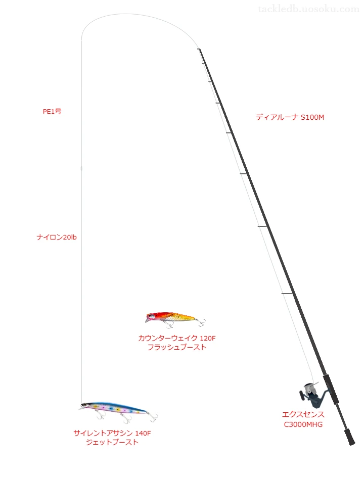 ディアルーナ S100Mを使用した最強シーバスタックル