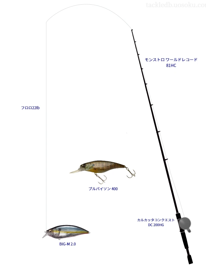 モンストロ ワールドレコード 81HCとカルカッタコンクエスト DC 200HGを組み合わせたバスタックル【仮想インプレ】