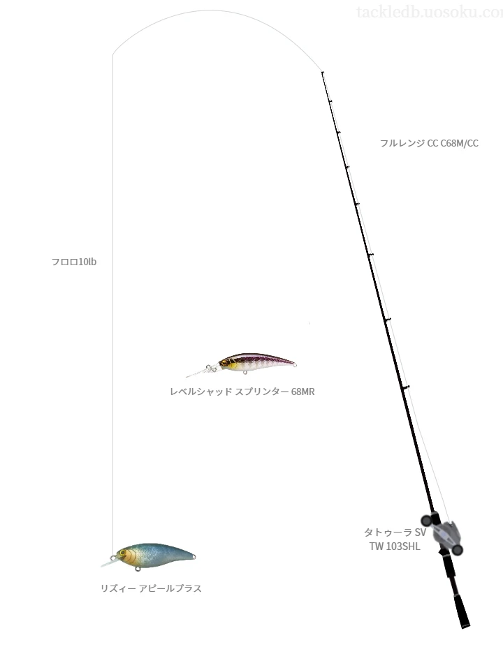 【長良川】リズィー アピールプラスを活かすバス釣りタックル【仮想インプレ】