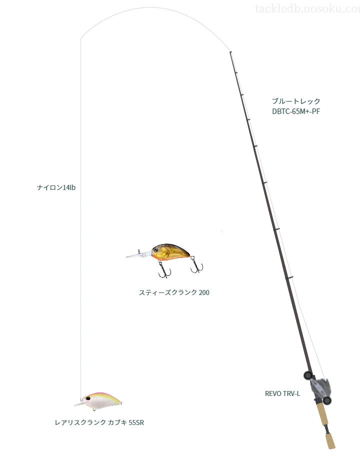 レアリスクランク カブキ55SRにおすすめのベイトタックル【ブルートレック DBTC-65M+-PF】
