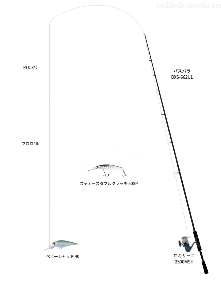 【釜房湖】ベビーシャッド 40を活かすバス釣りタックル【仮想インプレ】