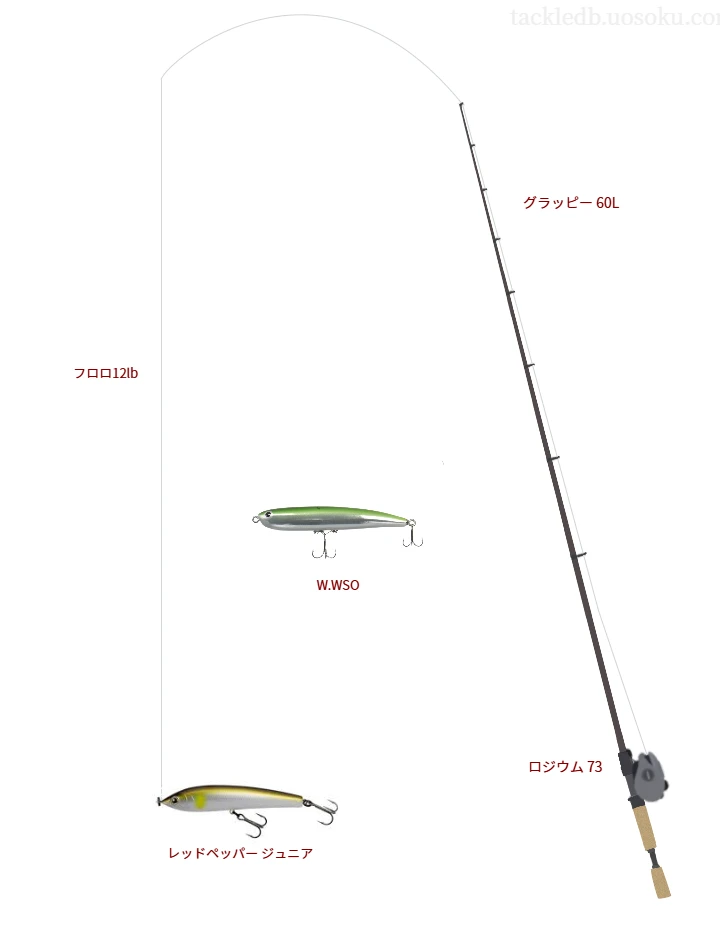 グラッピー 60Lとロジウム 73による中価格帯バス釣りタックル【仮想インプレ】