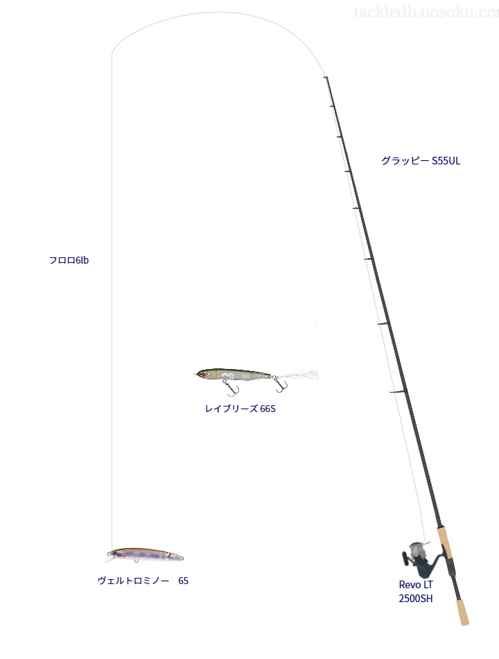 【比奈知ダム】ヴェルトロミノー65を活かすバス釣りタックル【仮想インプレ】