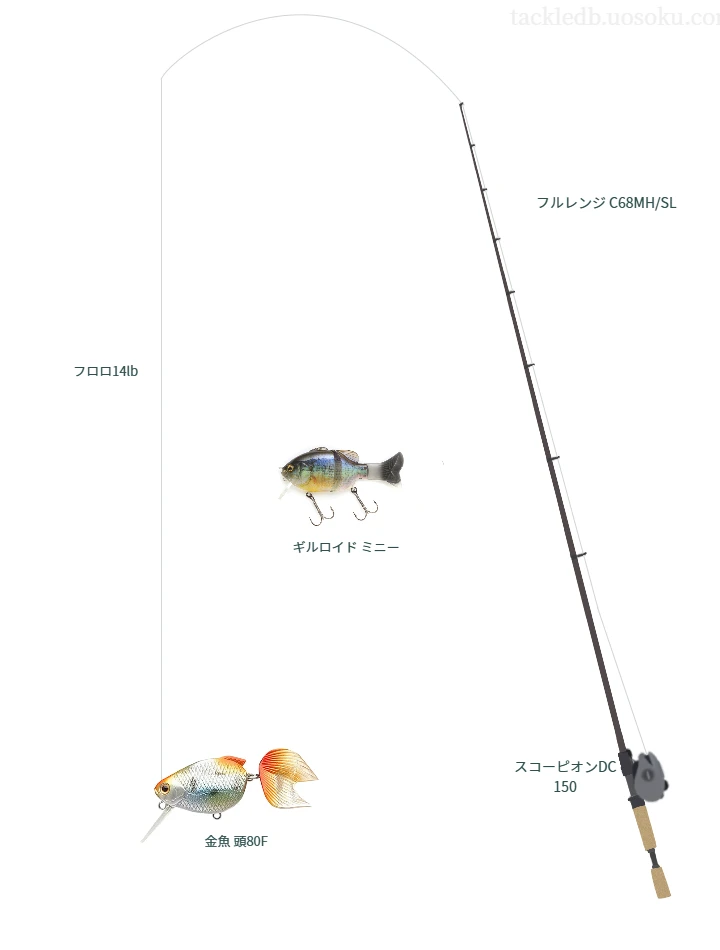 金魚 頭80Fを使いこなすタックル【仮想インプレ】