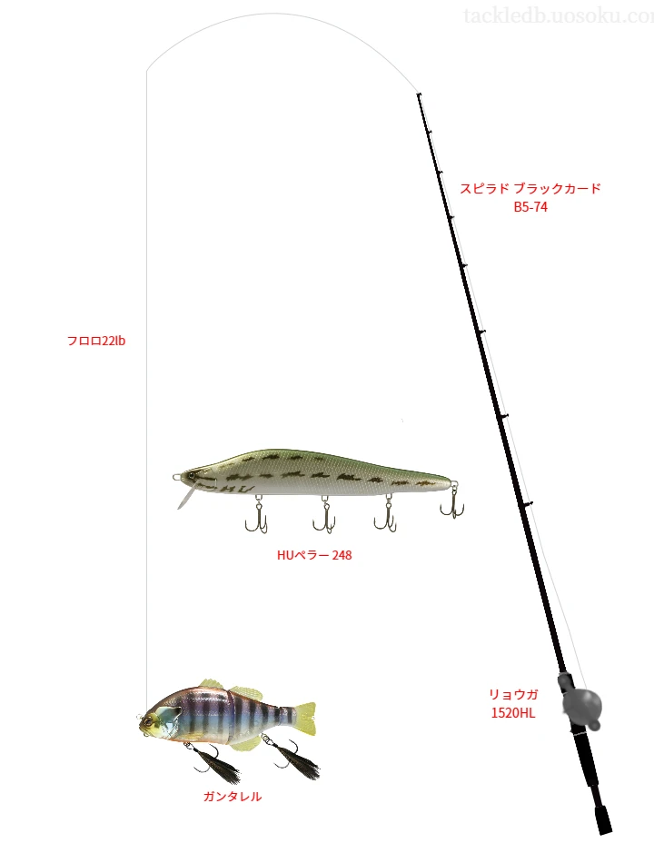 モンスター ブレイブ Z 22lbをスピラド ブラックカード B5-74と使用したベイトタックル【仮想インプレ】