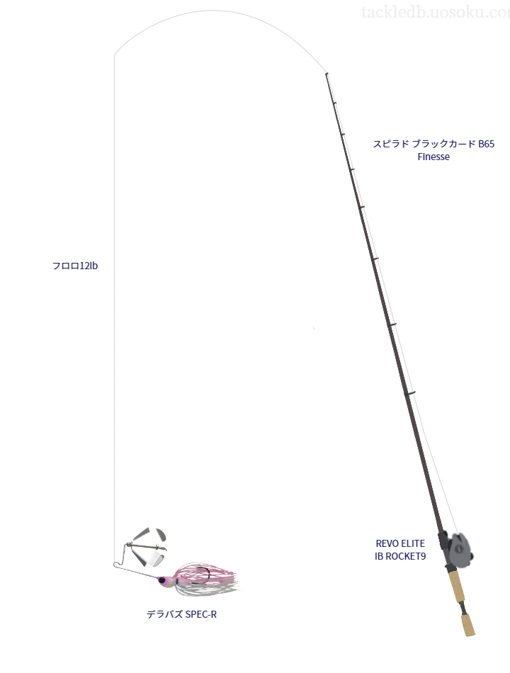 スピラド ブラックカード B65 Finesseとバズベイトによるバス釣りタックル【Vインプレ】