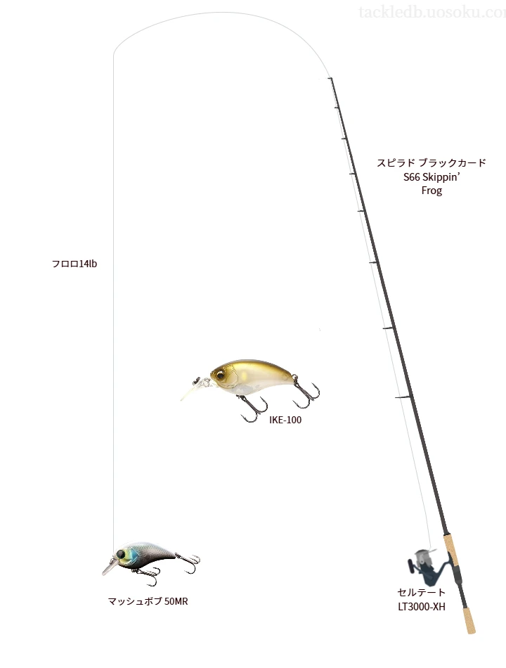 スピラド ブラックカード S66 Skippin’ Frogとセルテート LT3000-XHを組み合わせたバスタックル【仮想インプレ】