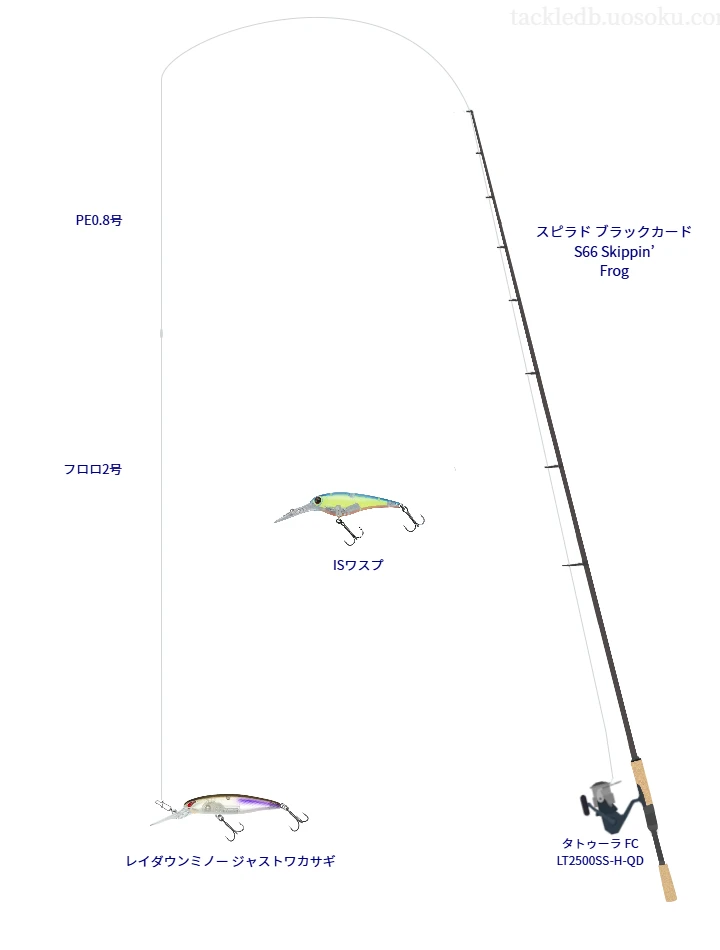 スピラド ブラックカード S66 Skippin’ Frogとダイワのリールでレイダウンミノー ジャストワカサギを使用するタックル