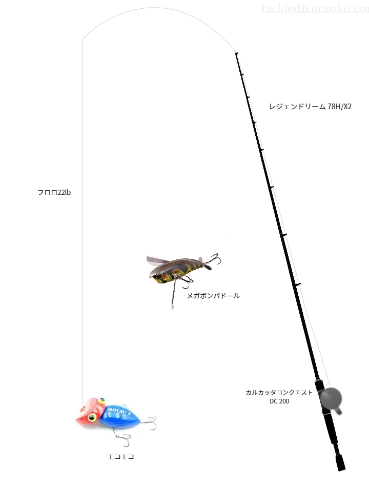 【豊英湖】モコモコを活かすバス釣りタックル【仮想インプレ】