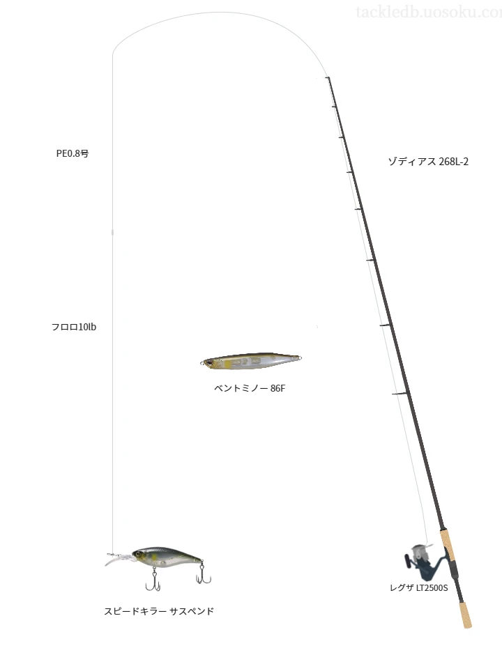 ゾディアス 268L-2とレグザ LT2500Sによる中価格帯バス釣りタックル【仮想インプレ】