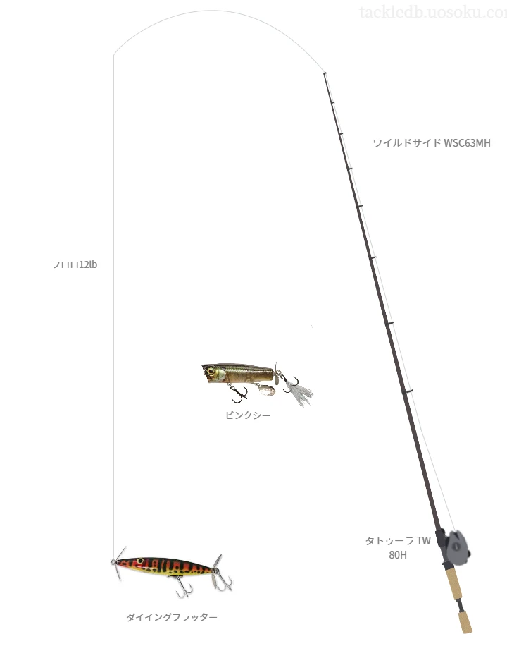 ワイルドサイド WSC63MHとタトゥーラ TW 80Hを組み合わせたバスタックル【仮想インプレ】