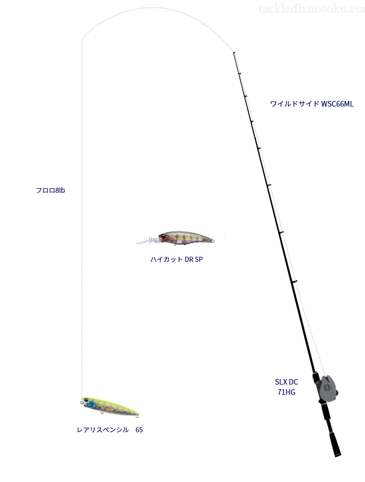 ワイルドサイド WSC66MLとペンシルによるバス釣りタックル【Vインプレ】