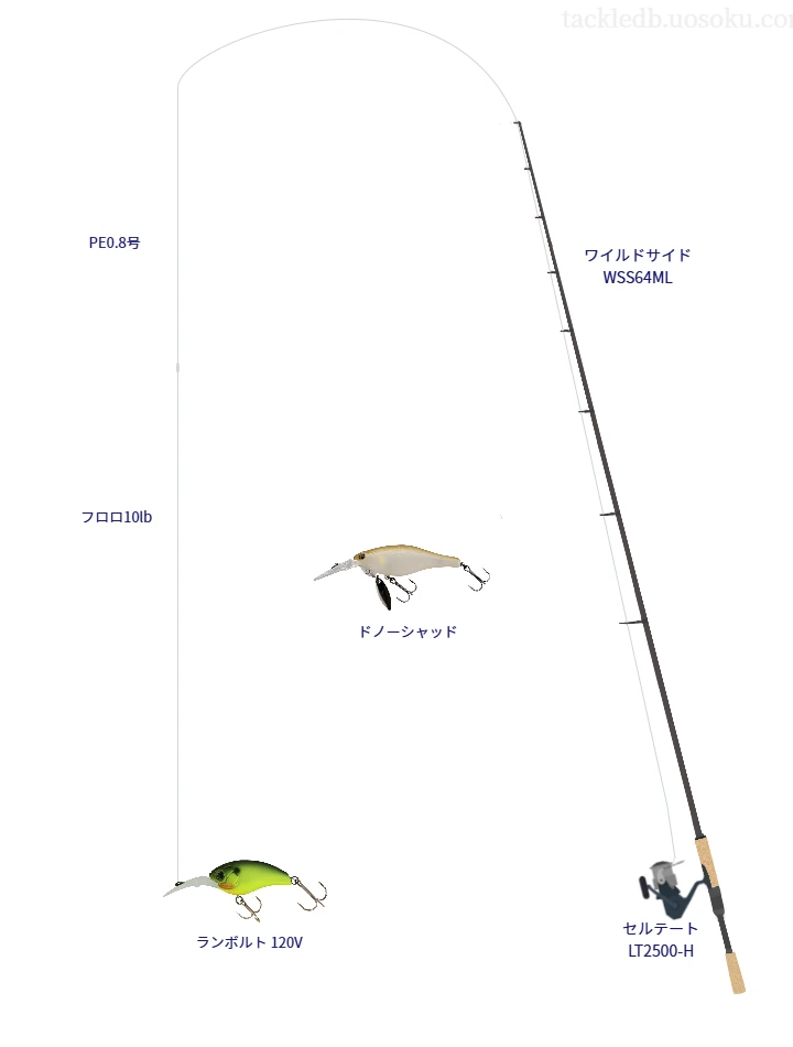 ワイルドサイド WSS64ML,セルテート LT2500-H,クランクベイトを使うバス釣りタックル【仮想インプレ】