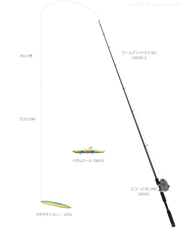 ワールドシャウラ BG 1952R-3とカタクチジョニー 125Sによる最強シーバスタックル