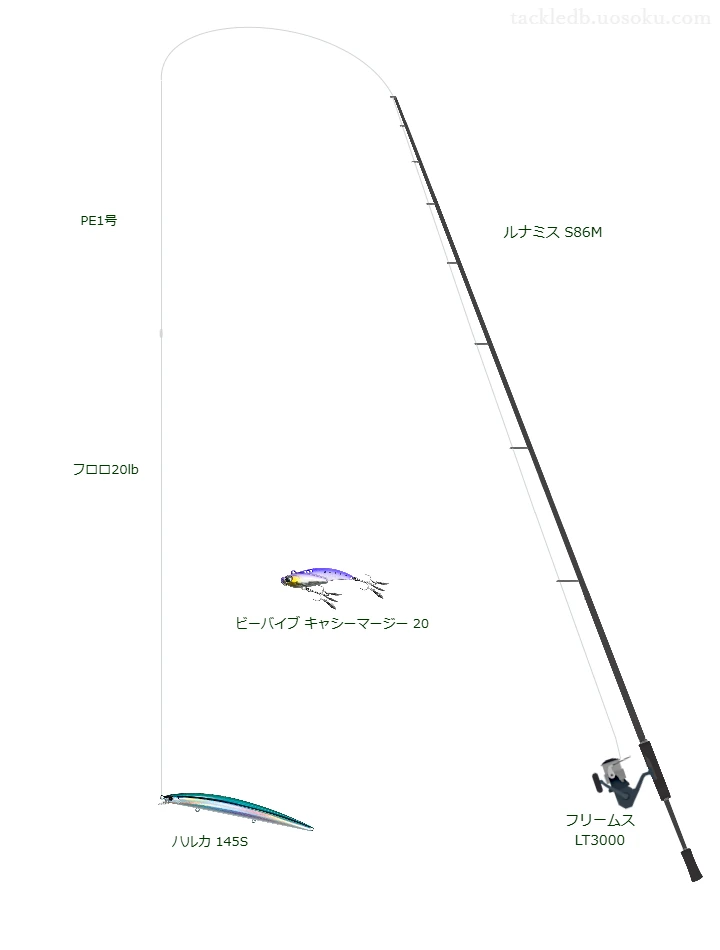 ハルカ 145Sを使うシーバスタックル【ルナミス S86M】