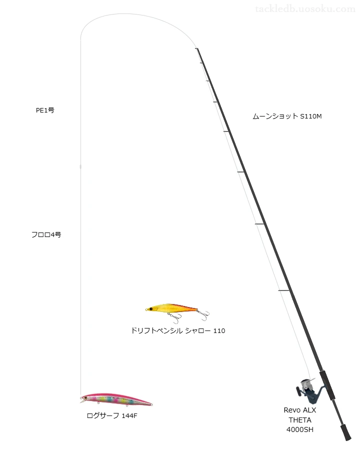 ログサーフ 144Fを使うシーバスタックル【ムーンショット S110M】